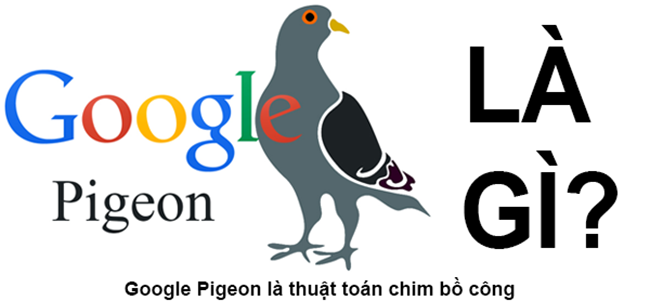 Chiến lược Google Pigeon trong SEO website hiệu quả